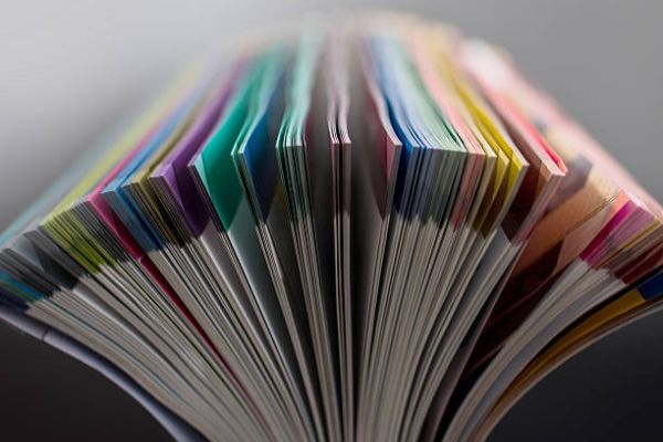 somfy_flyer_storensteuerung